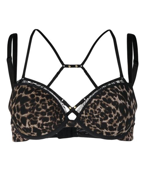 leopard print push up bra.